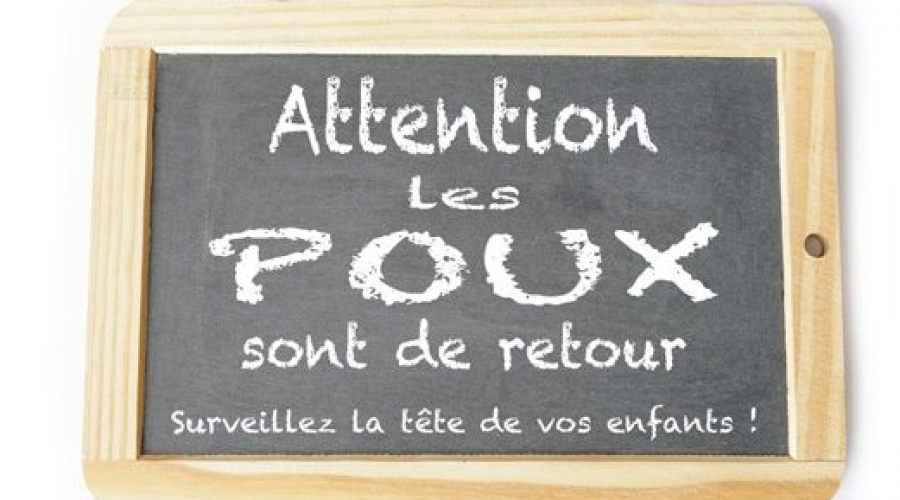 C'est la rentrée... Attention les poux sont de retour!!!